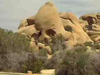 صور Joshua Tree National Park متنزه وطني